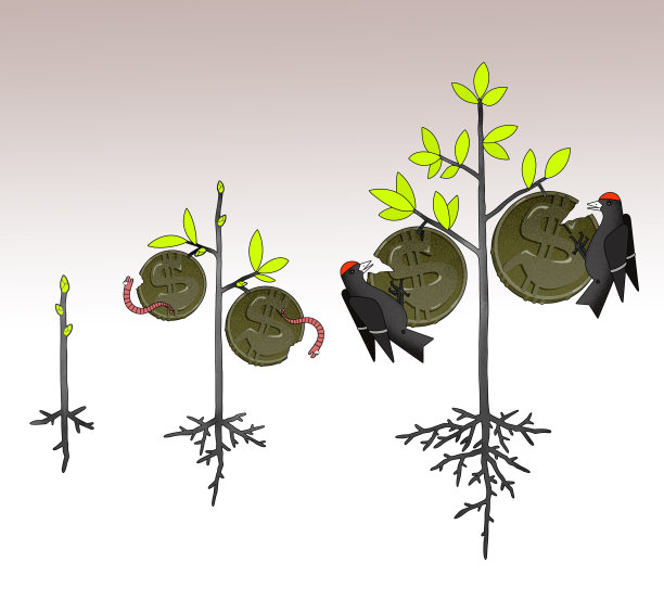 收入增长，税收和通货膨胀形成了一棵带有硬币的摇钱树图片下载