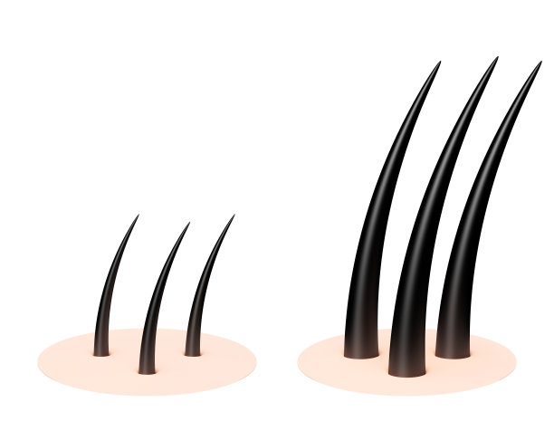 人的头皮。图片下载