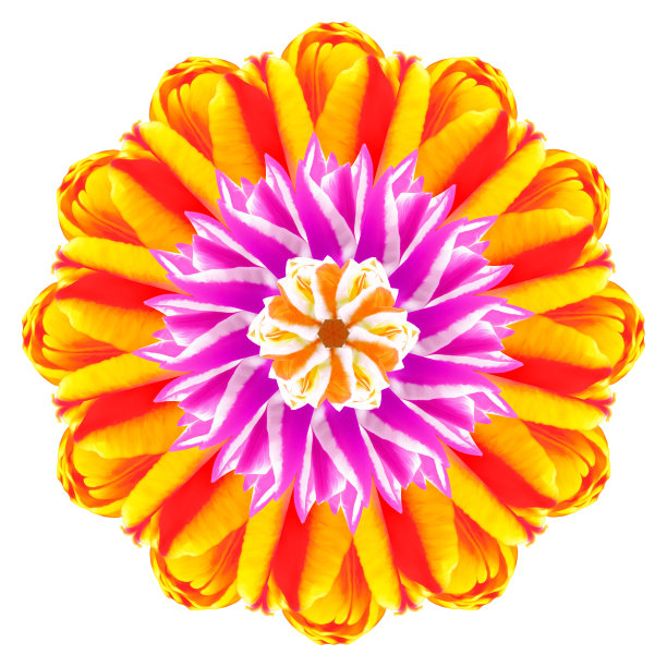 带有花卉元素的装饰图案曼陀罗图片下载