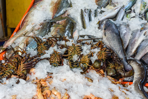 鱼类，龙虾和虾，埃及洪加达市鱼市场图片下载