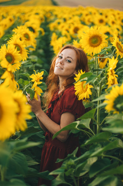 年轻美丽的女人穿着裙子在盛开的向日葵中。Agroculture。图片下载