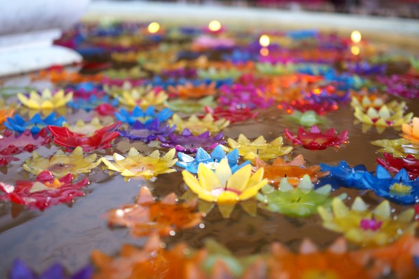 漂浮的鲜花和蜡烛图片下载