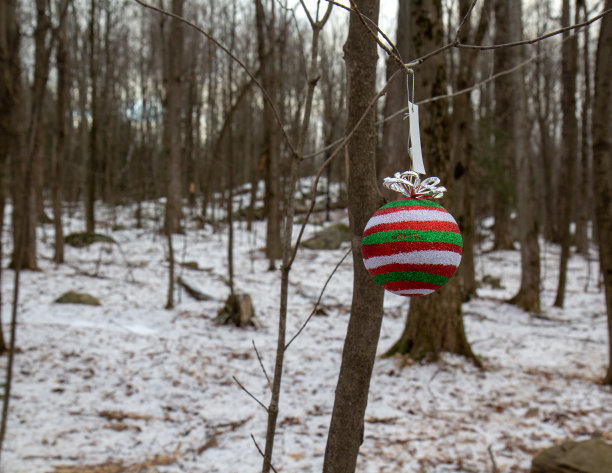 森林里的圣诞装饰图片下载