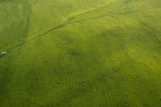 空中的绿色多汁的草原图片下载