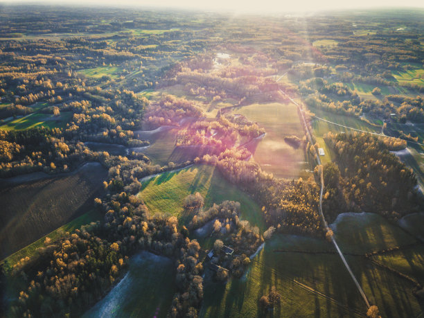 无人机照片与美丽的森林的秋天的颜色包围草地-复古的看编辑图片下载