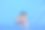 游泳池里可爱的小女孩。游泳池里可爱的小女孩的肖像。阳光明媚的夏天的一天。夏天和快乐的童年理念。本空间图片下载
