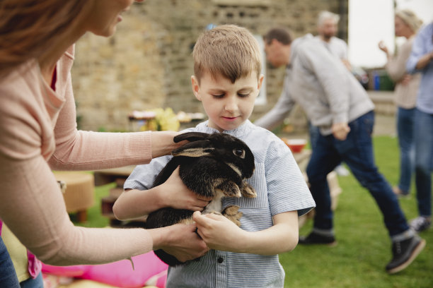 好奇的兔子图片下载