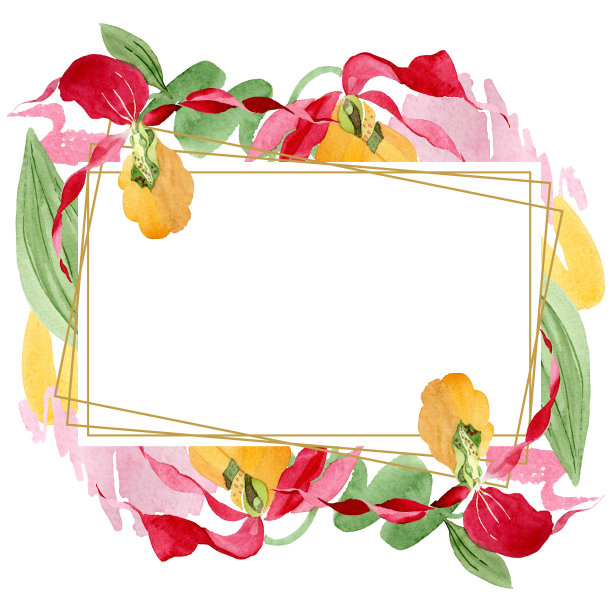 Cypredium calceolus。花卉植物的花。水彩背景插图集。边框装饰方形。图片下载