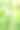 芝麻:一种高大的一年生草本植物图片下载