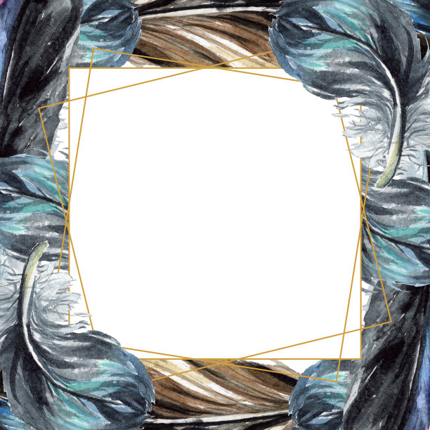 黑色的羽毛。水彩背景插图集。边框装饰方形。图片下载