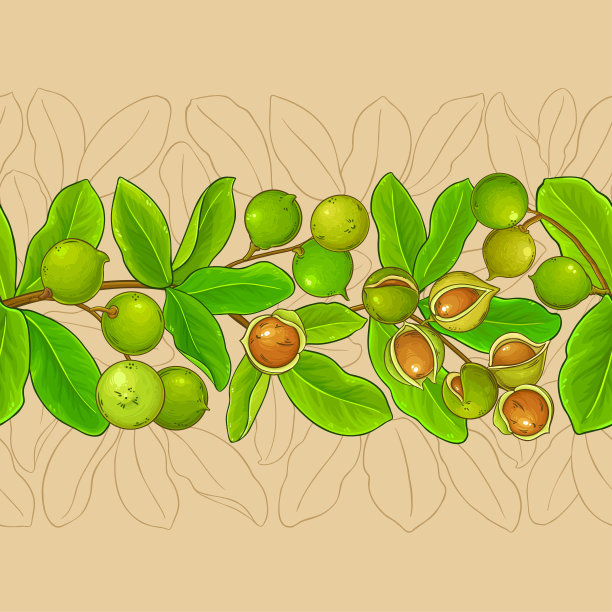 澳洲矢量模式图片下载