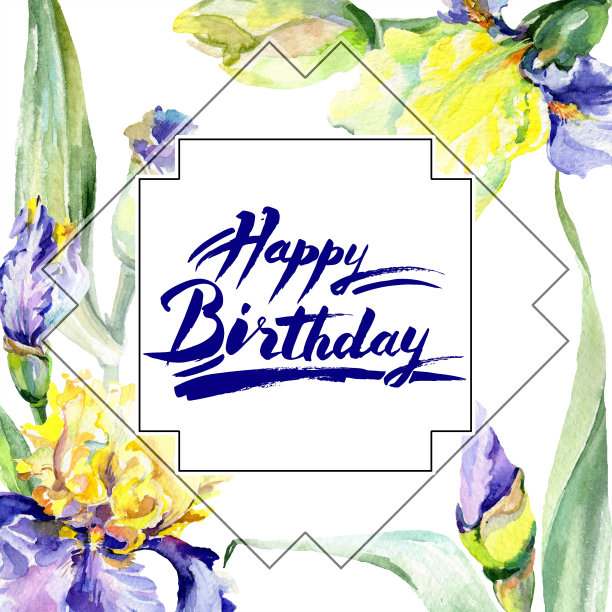紫黄色鸢尾花。水彩背景插图集。水彩画水彩画。帧边界广场。[文字]字书法。图片下载