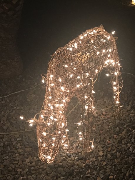 圣诞装饰用串灯鹿图片下载