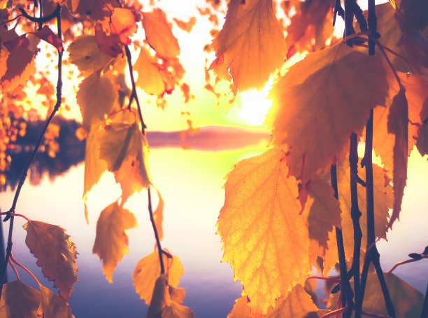 来自芬兰索特卡莫的秋天湖景。图片下载