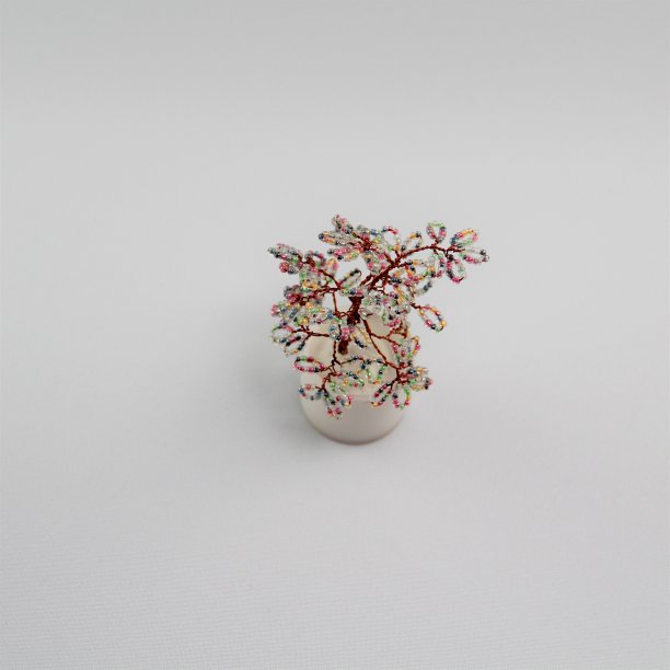 珠子花图片下载