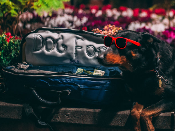 每个人都要谋生图片下载