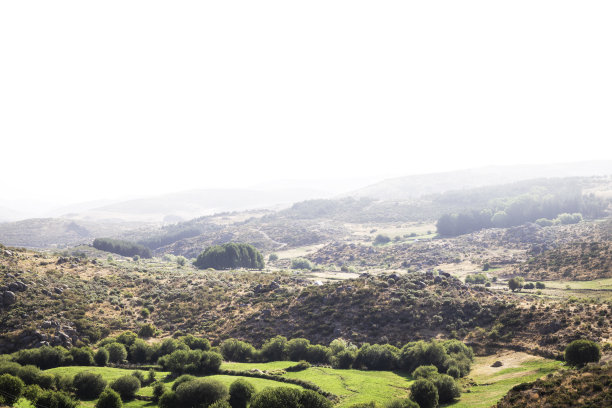 一些美丽的绿色山脉与路径和石头的全景图片下载