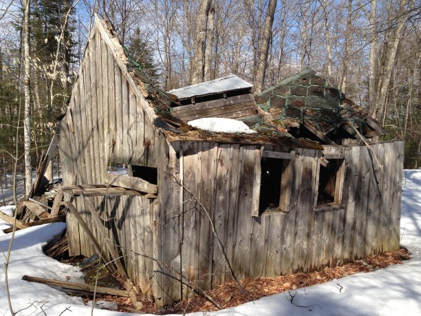 森林中倒塌的棚屋图片下载