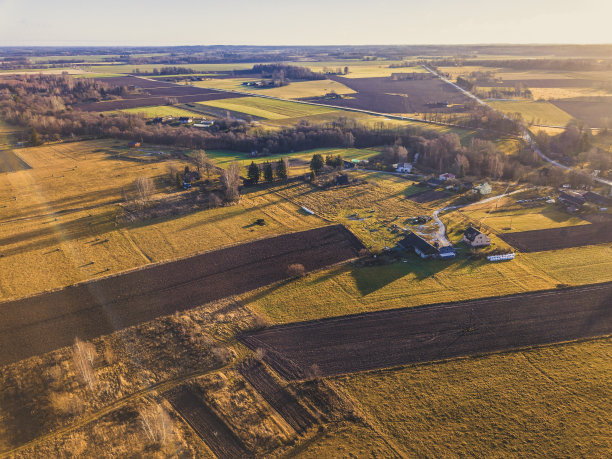 无人机在美丽的秋天的颜色包围草地的照片-复古看起来编辑图片下载