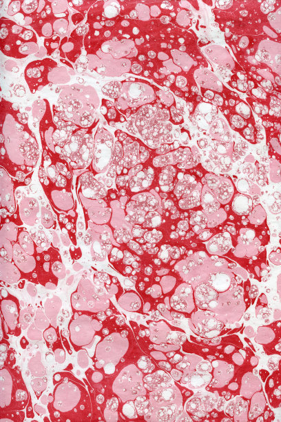 土耳其历史艺术纸上水彩画命名为Ebru图片下载