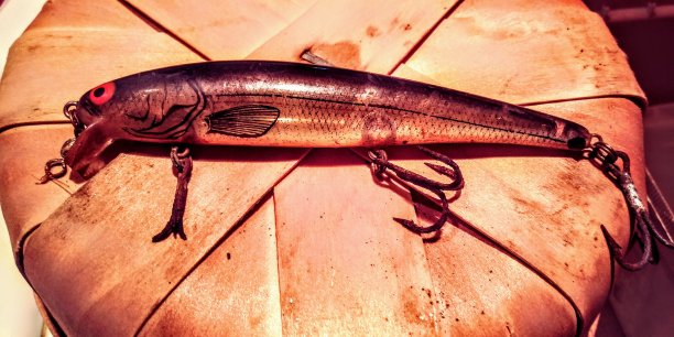 的鱼饵图片下载