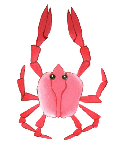 蟹素材图片