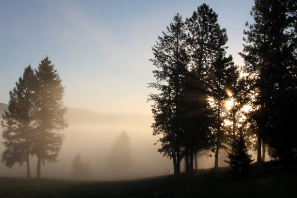 一个模糊的日出图片下载