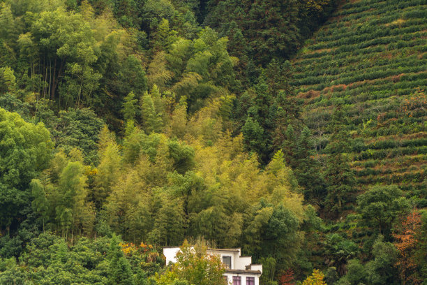 中国山区的一个村庄图片下载