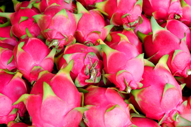 火龙果质地背景/市场上出售的新鲜火龙果热带水果图片下载