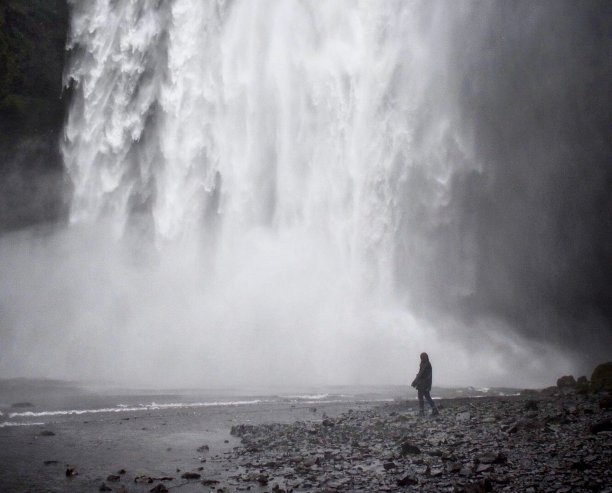 迷雾斯科加福斯图片下载