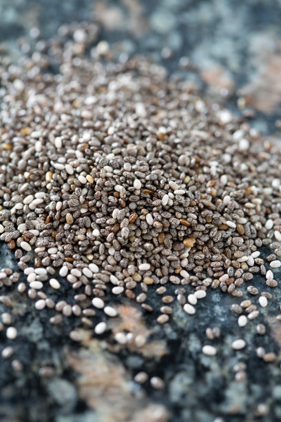 花岗岩背景上的奇异籽图片下载