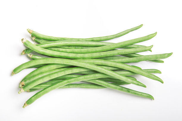 白底青豆。图片下载