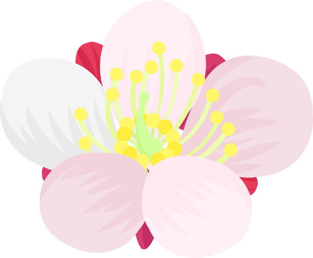 漂亮的梅花图片下载