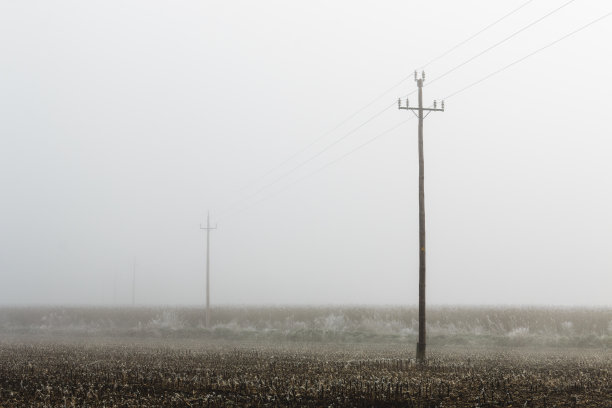 这是一幅雾蒙蒙的冰冻田园风景画图片下载