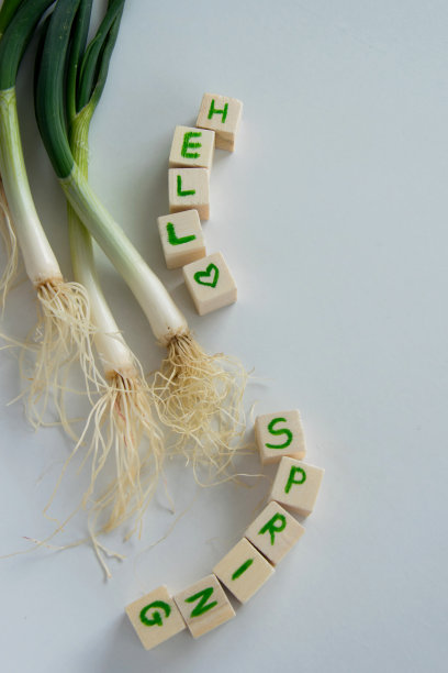 新鲜生葱，白色背景，文字“你好春天”图片下载