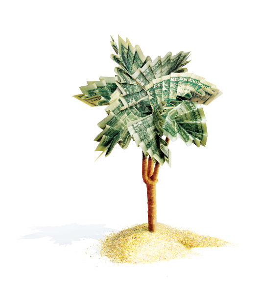 棕榈折纸，用美钞折成的叶子图片下载