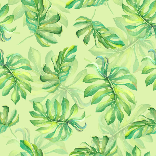 丛林植物模式。水彩热带树叶在石灰绿色的背景。无缝夏日纹理、装饰、印花、横幅图片下载