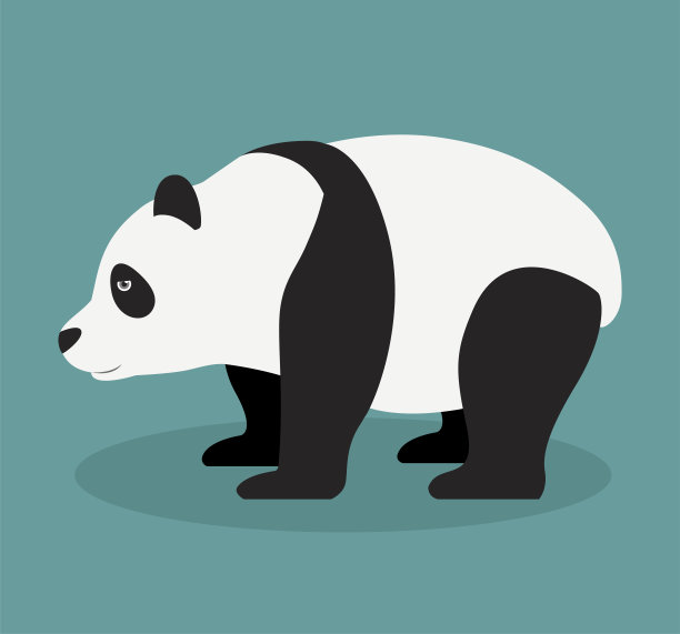 平面卡通大熊猫矢量插图孤立在白色图片下载
