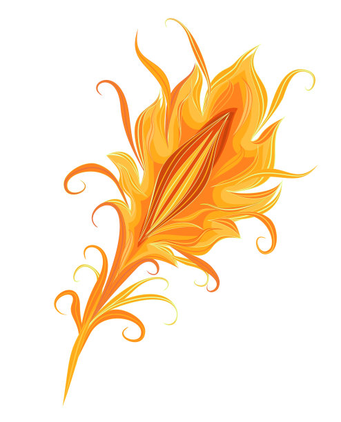 魔法鸟的羽毛。一种奇异鸟的羽毛。图片下载