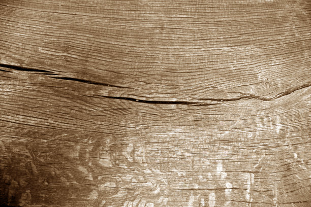 老原木切宏在棕色的颜色。图片下载