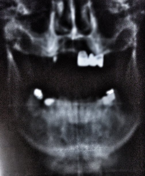 真正的未来图片下载