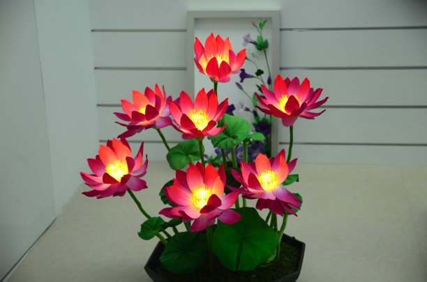 花形象图片下载