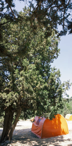 露营帐篷附近的森林，户外照片美丽的大自然图片下载