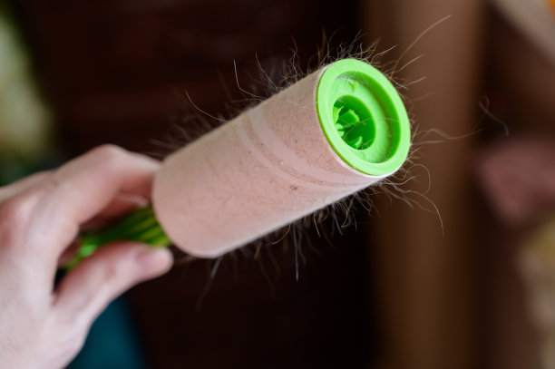 又脏又粘的猫毛刷子。图片下载