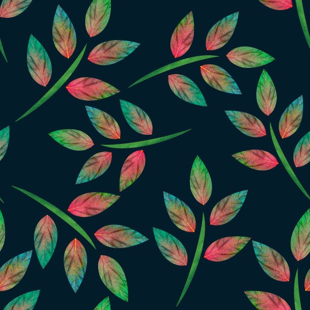 无缝图案的照片上的彩色树叶在黑色的背景。图片下载