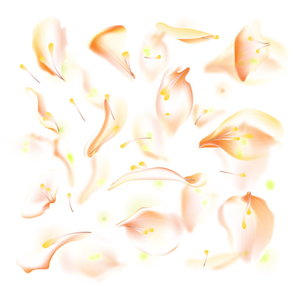 向量集粉红色的玫瑰和樱花花瓣。模糊的春天花的花瓣设置装饰元素，雄蕊。樱花花瓣集，盛开的玫瑰花瓣对象，花瓣元素集与模糊的樱花素材图片