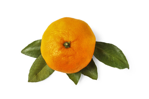 成熟的橘子图片下载