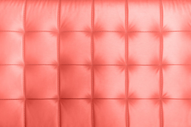 活珊瑚色豪华真皮沙发特写图片下载
