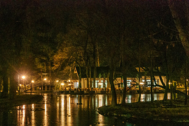 森林里的童话小屋图片下载