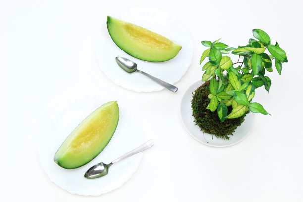 瓜苔球图片下载